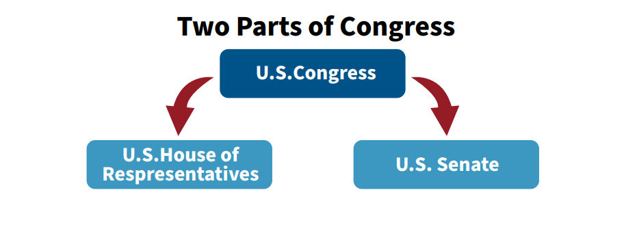 Diagram showing the two parts of the U.S. Congress: the U.S. House of Representatives and the U.S. Senate.