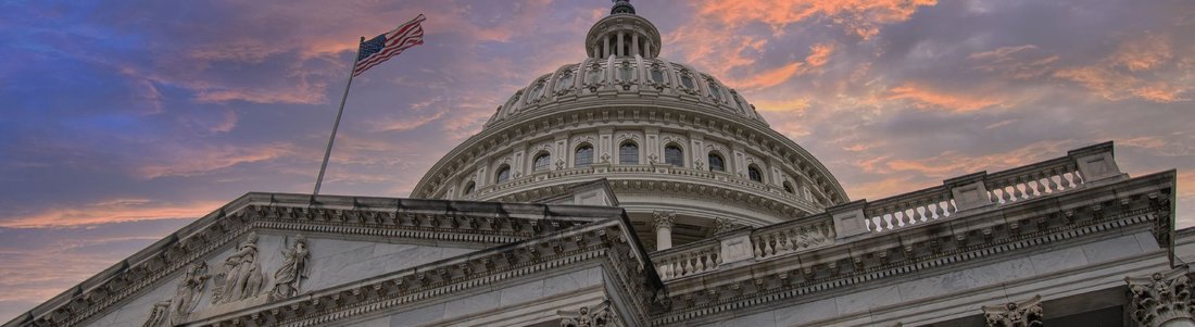 The Legislative Branch (Congress)