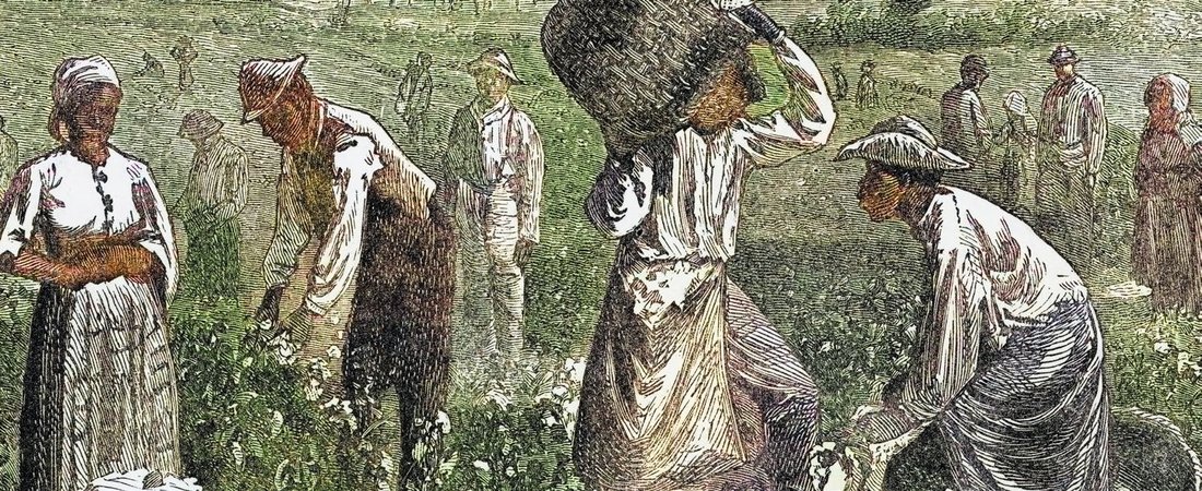 Picking cotton on a Georgia plantation. Courtesy of the Library of Congress.