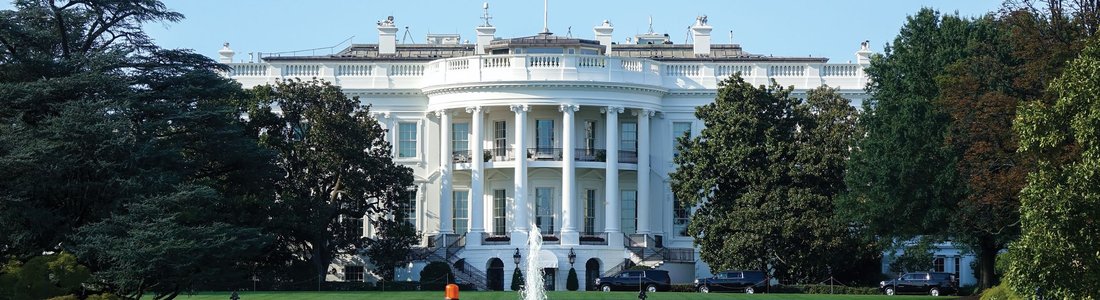 American History: 1900-2001